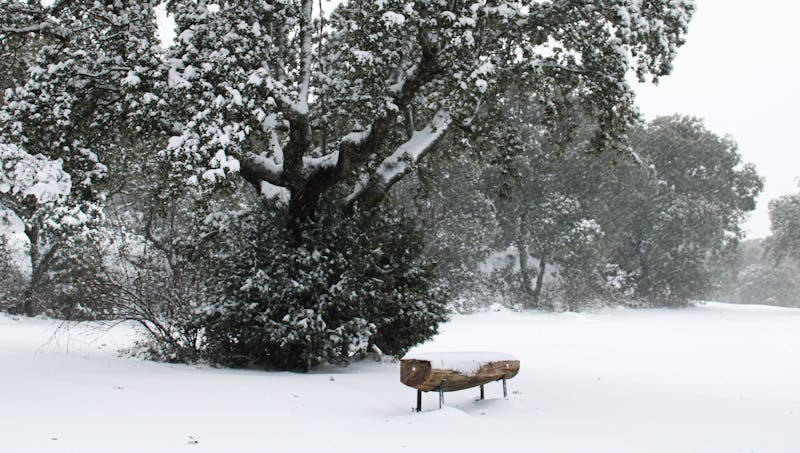 Guía completa de pintura interior: tipos, preparación y aplicación